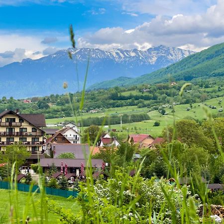 Vila Hora Cu Brazi Zărneşti Buitenkant foto