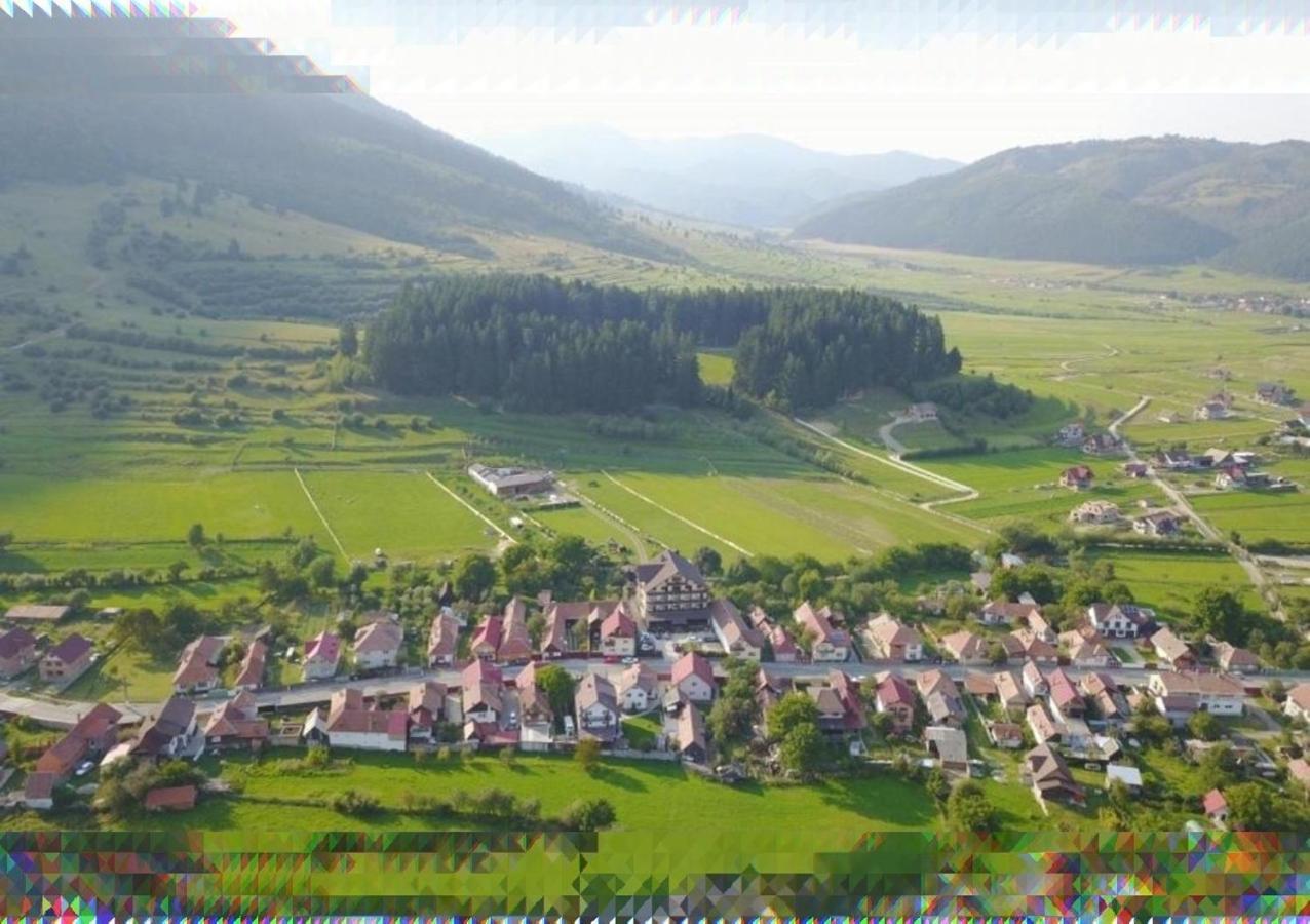 Vila Hora Cu Brazi Zărneşti Buitenkant foto