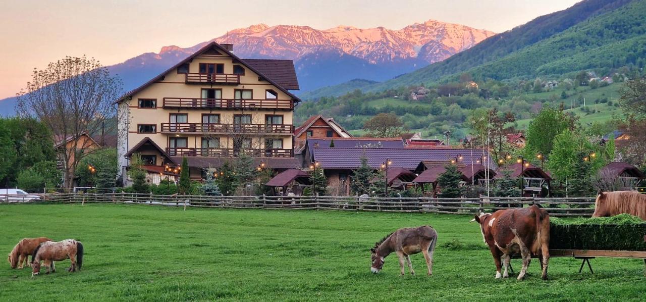 Vila Hora Cu Brazi Zărneşti Buitenkant foto