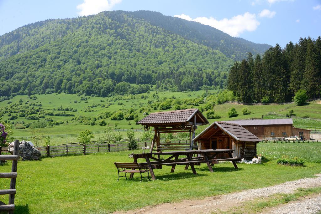 Vila Hora Cu Brazi Zărneşti Buitenkant foto