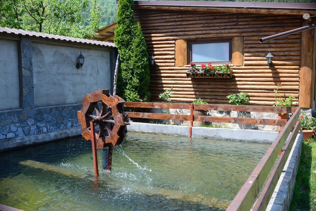 Vila Hora Cu Brazi Zărneşti Buitenkant foto